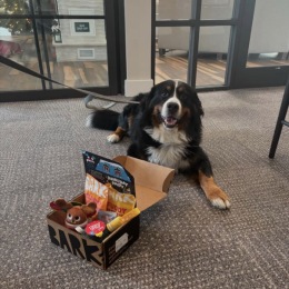 Doggies love our bark box giveaway ๐ถ๐๐ Instagram post from @lago.apartments on February 02, 2025 00:00:00am